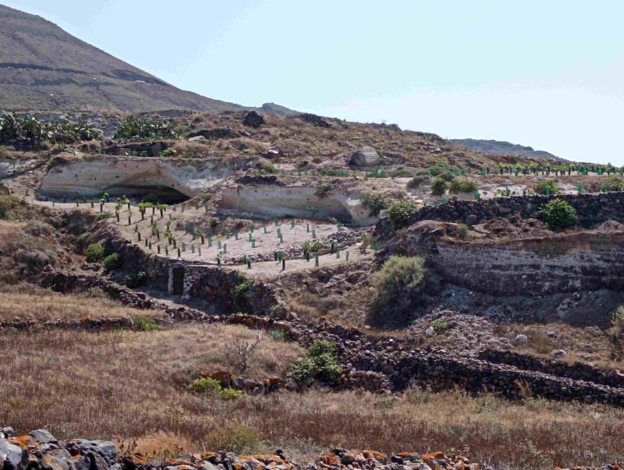 IMG_20230603_152905 (1).jpg